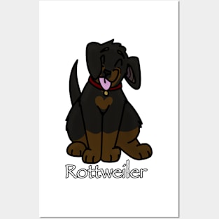 Rottweiler! Posters and Art